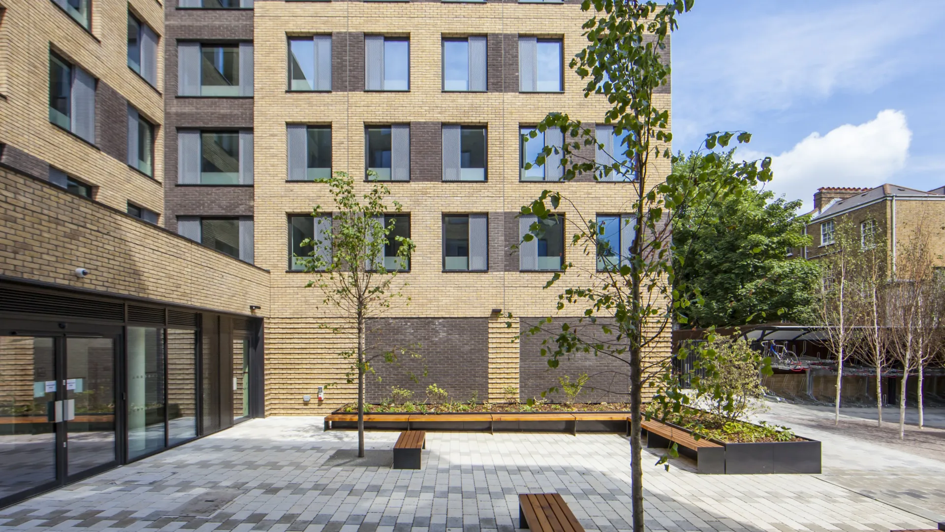 Central seated outdoor area planted with silver birch trees, with modern brick buildings all around
