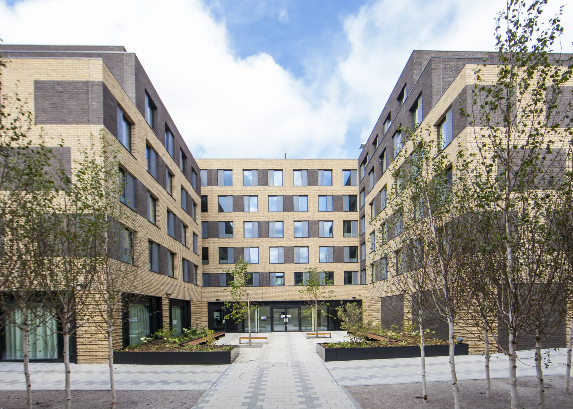 Modern six storey building in two tones of brick with silver birch trees in the foreground