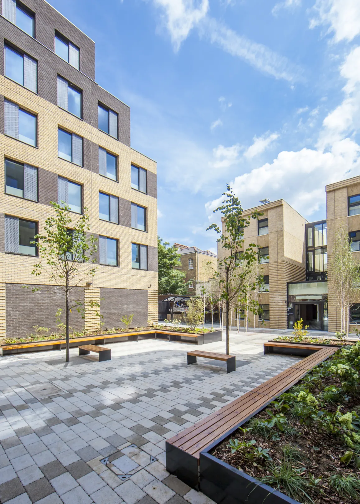 Modern building in two tones of brick with silver birch trees and seating in the landscaped grounds