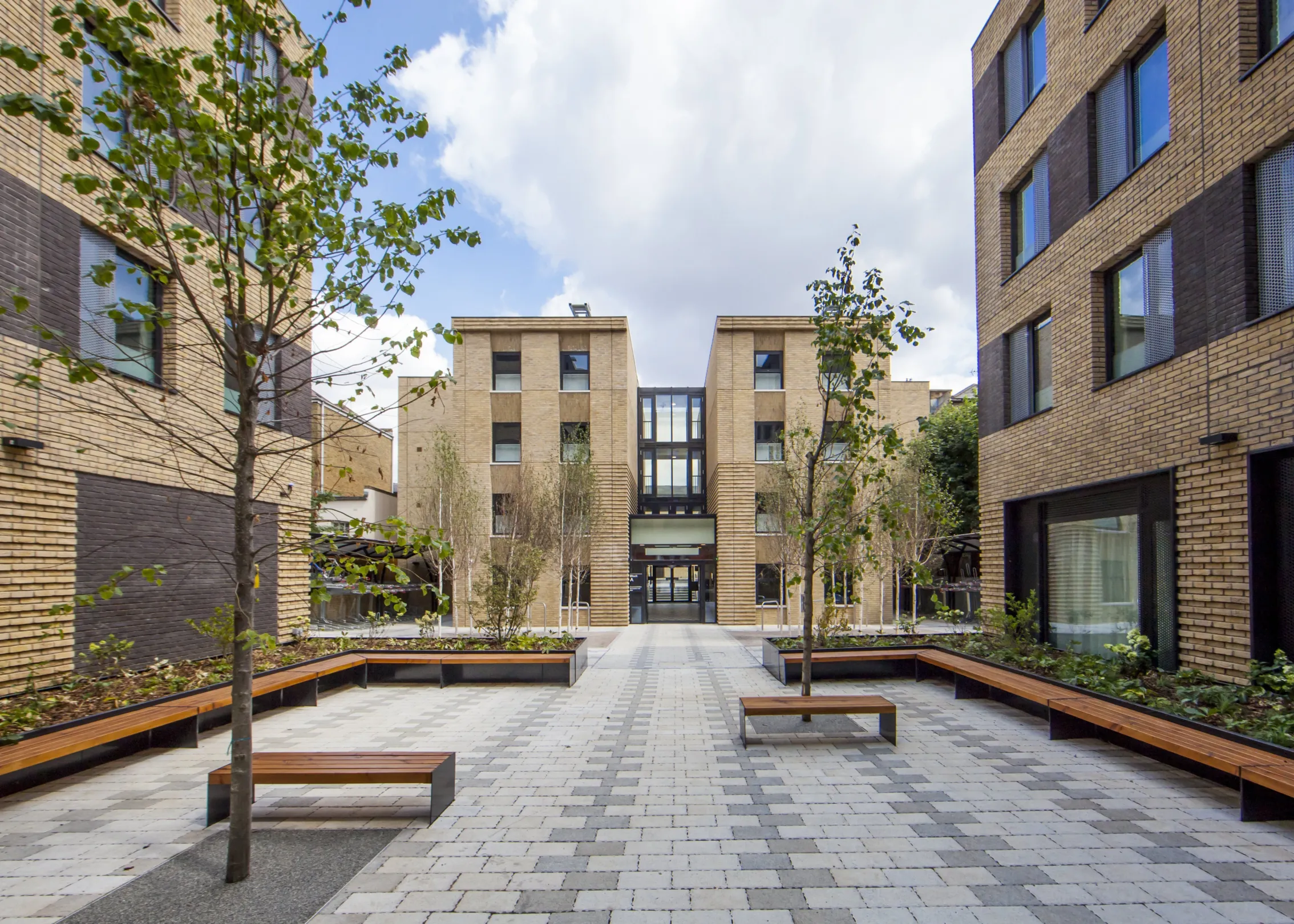 Central seated outdoor area planted with silver birch trees, with modern brick buildings all around