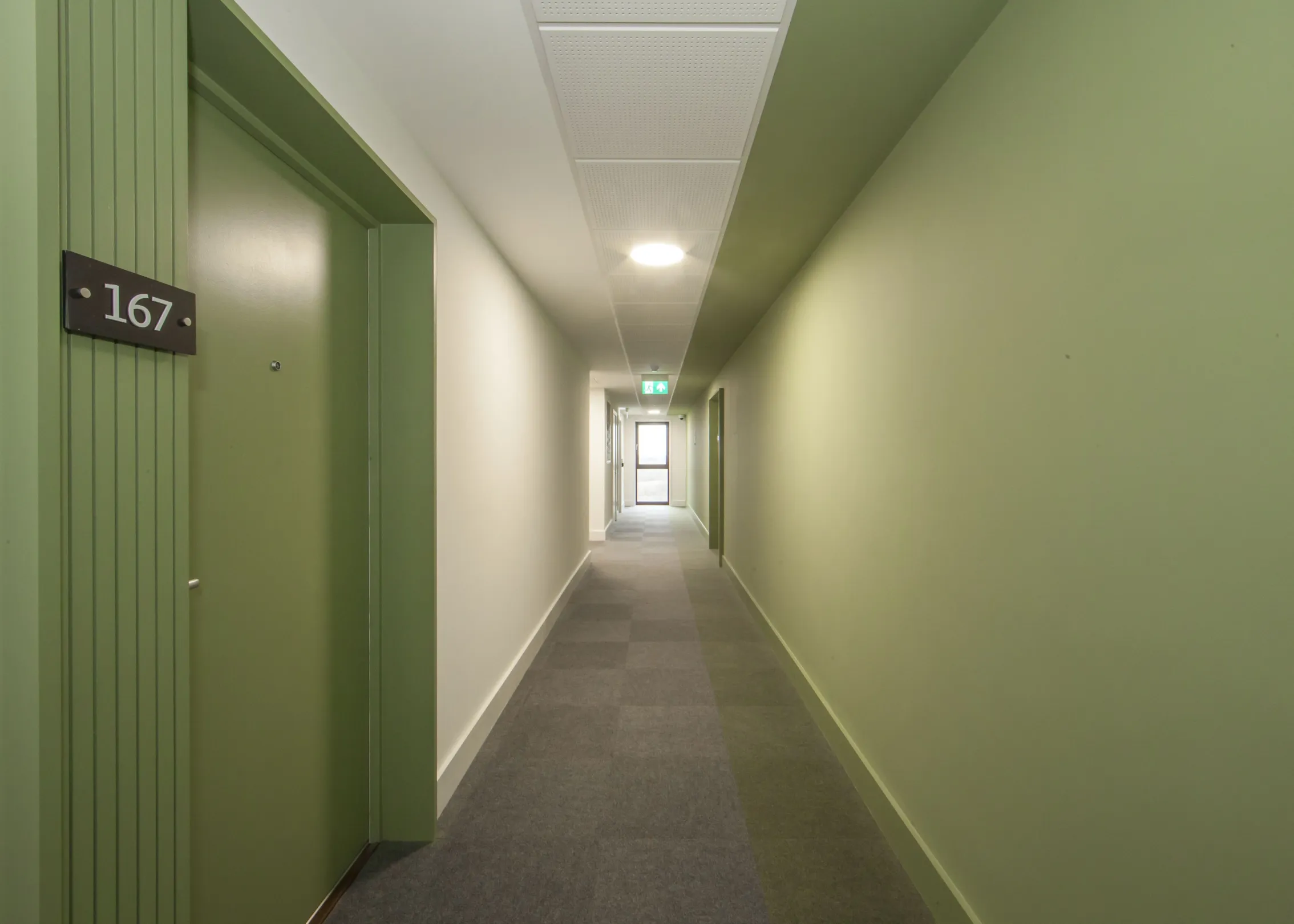 Internal corridor of a modern residential building with contrasting white and sage painted walls and door with a winder at the far end.