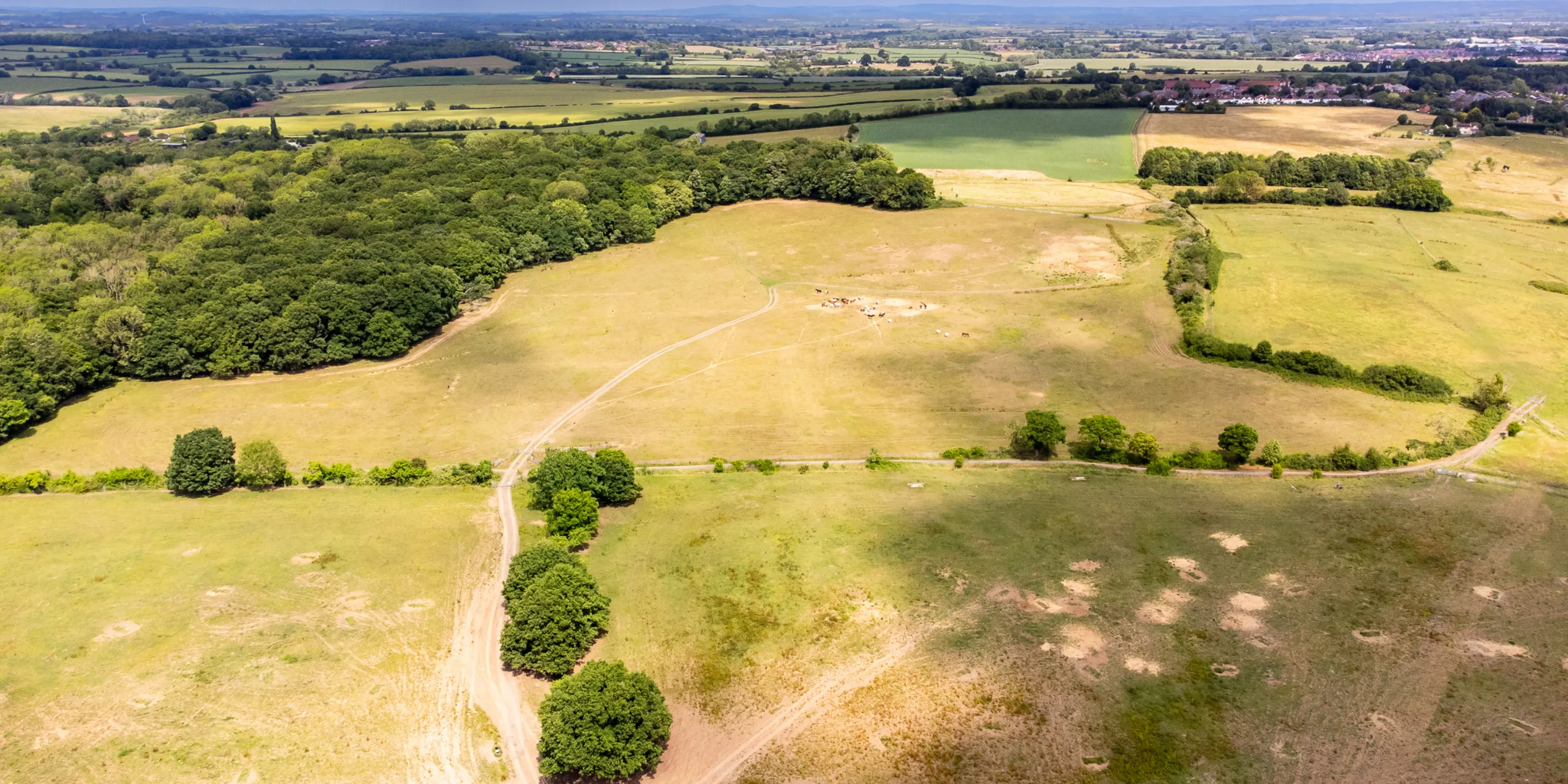 An aerial view shows a rural landscape with fields, woods, and distant houses under a cloudy sky.
