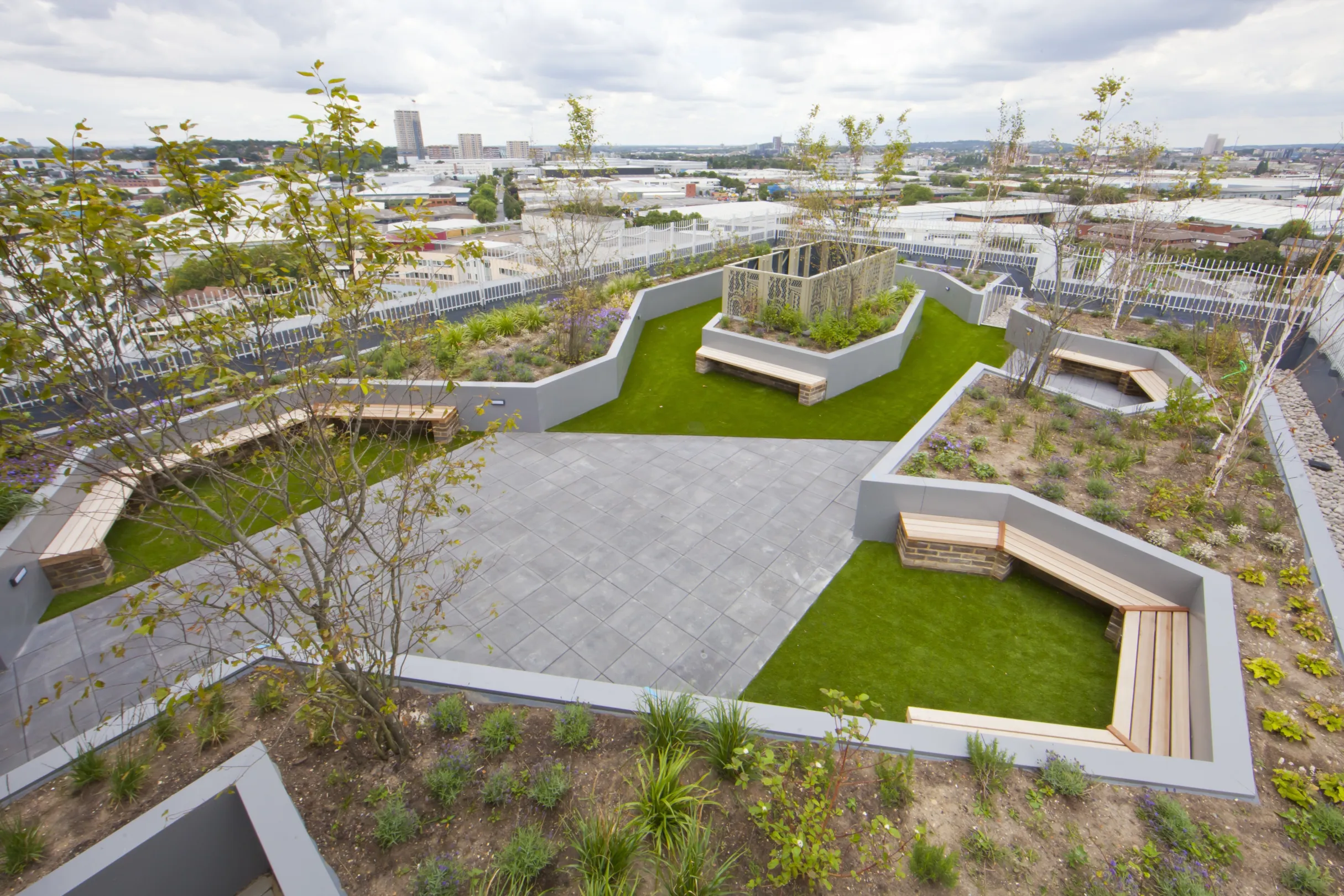 Modern, geometric rooftop garden planted with young trees