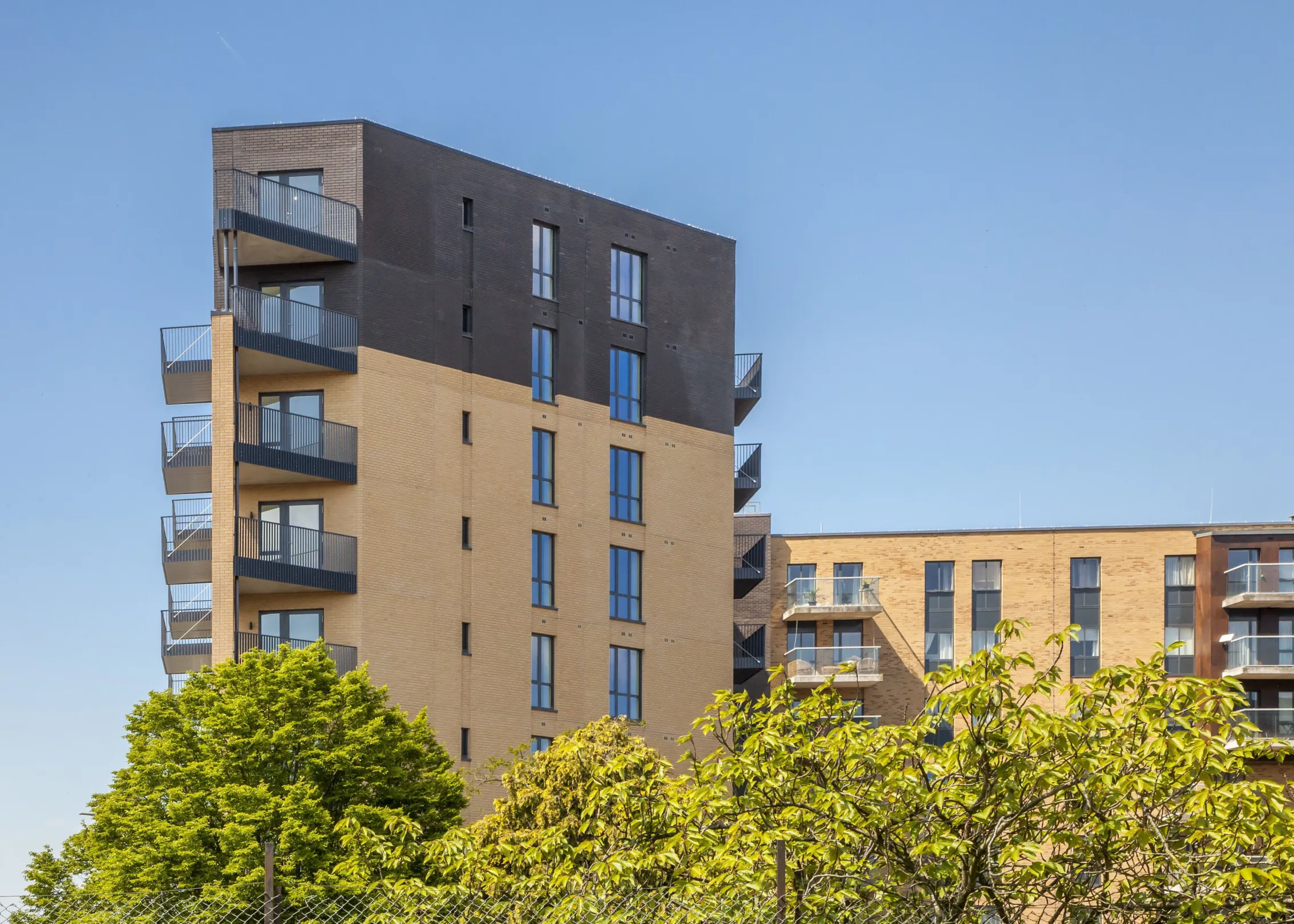 View of the top of a modern residential building visible above the canopy of trees in full leaf