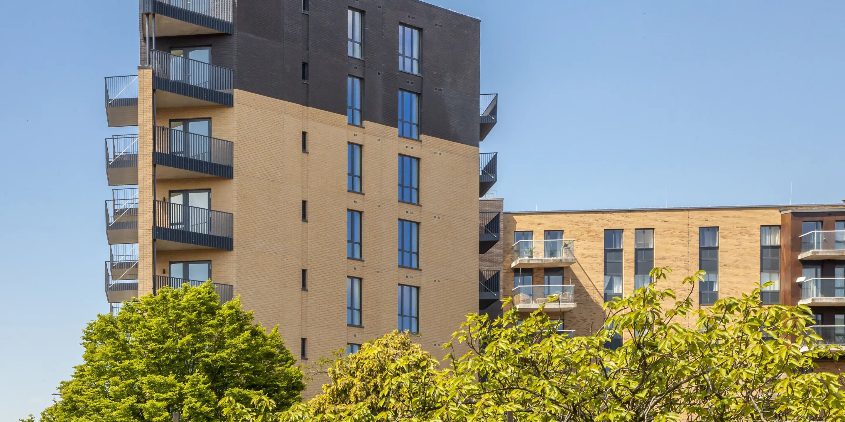 View of the top of a modern residential building visible above the canopy of trees in full leaf