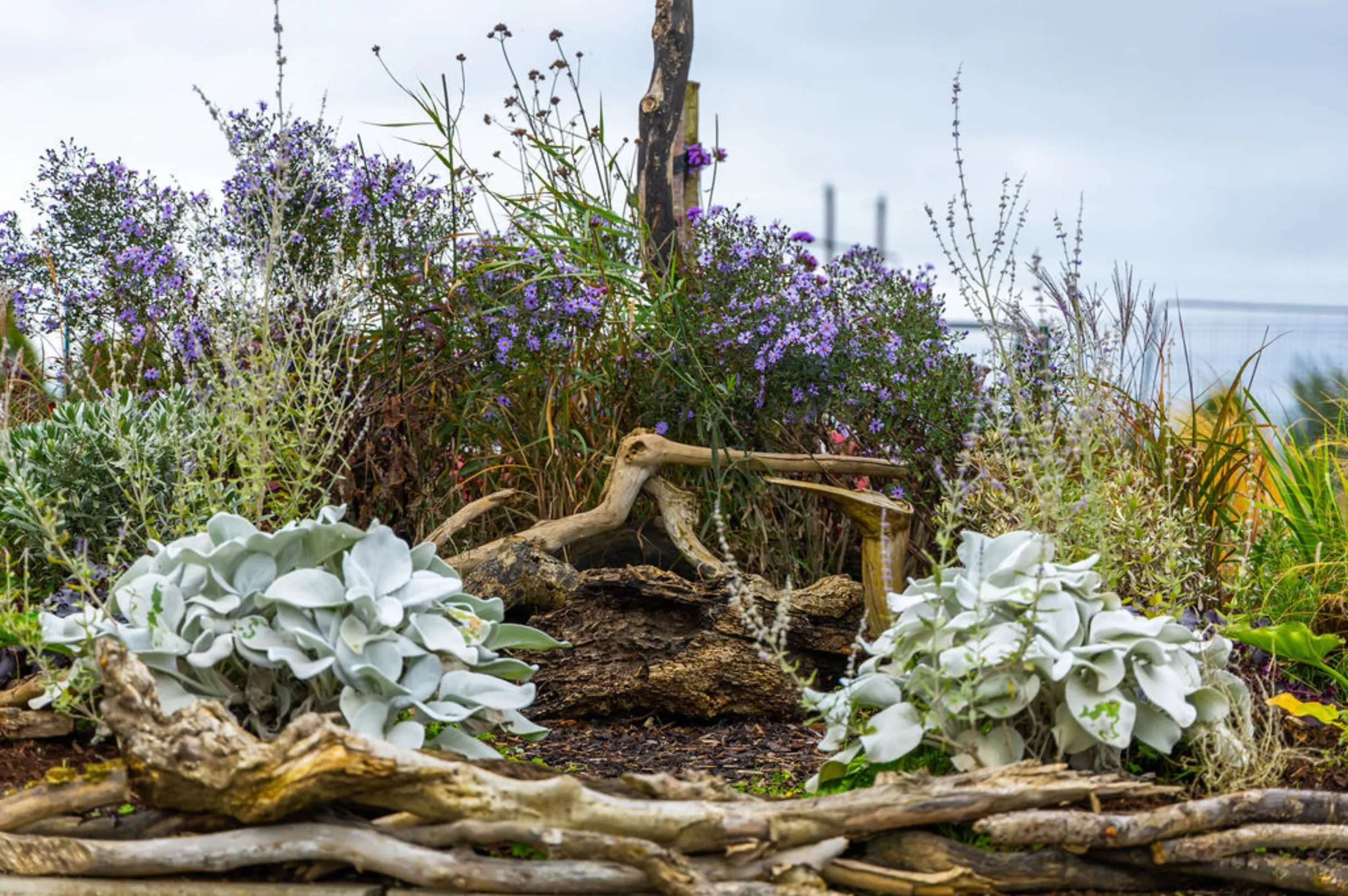 Lanscaping close up image at Sand Wood, Portlaoise