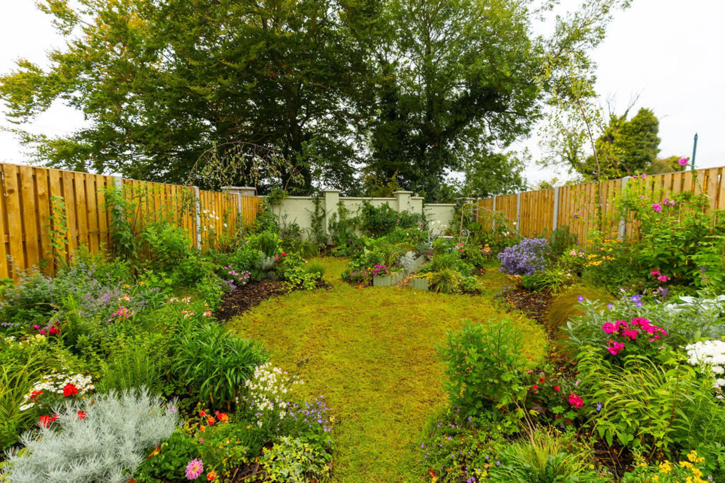 Garden full of plants and flowers with grass area in the middle