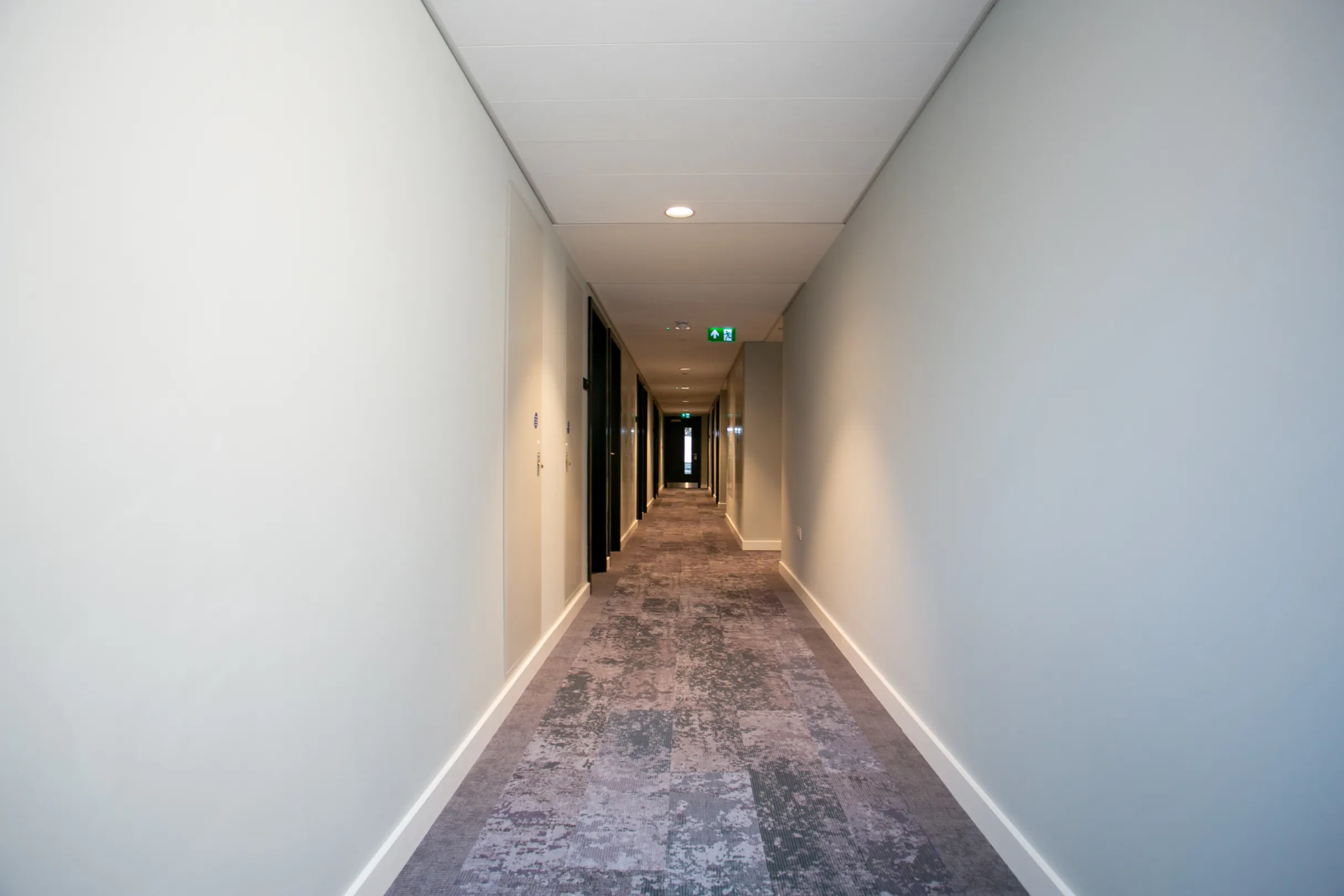 Signal House Show Cluster