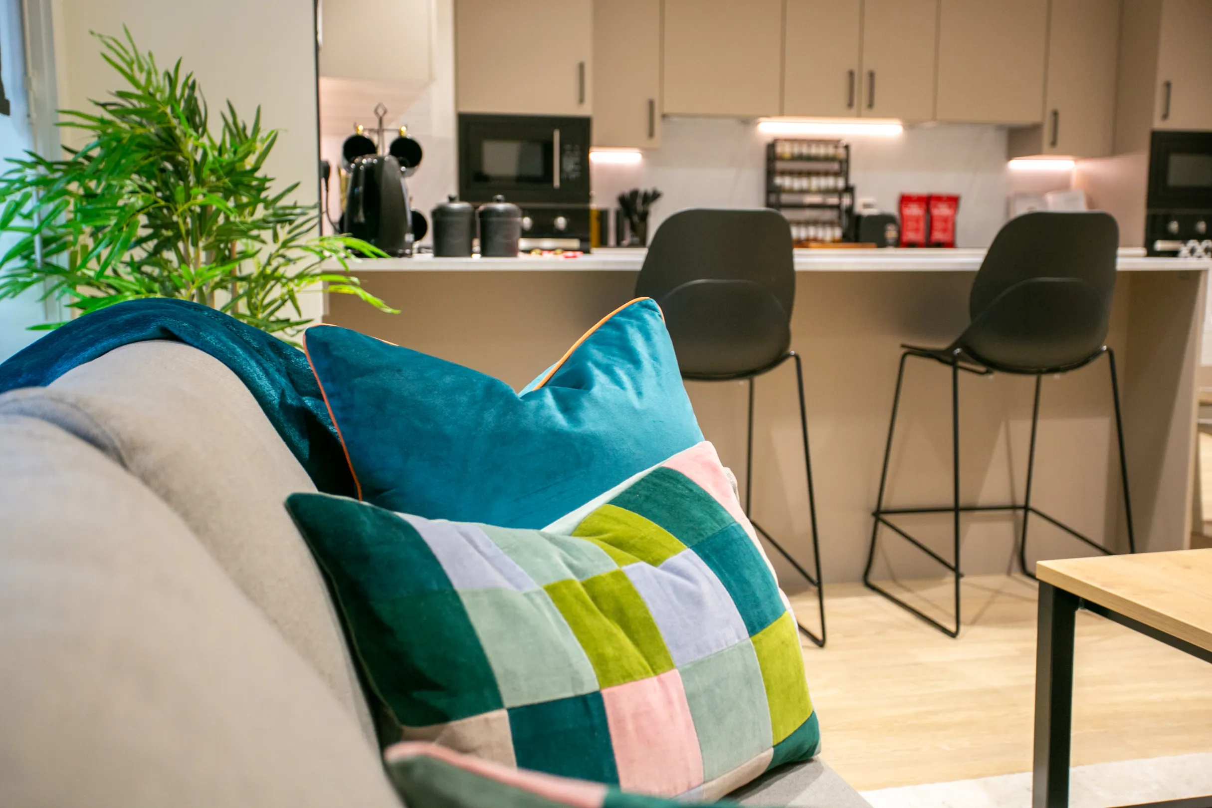 Signal House Show Cluster