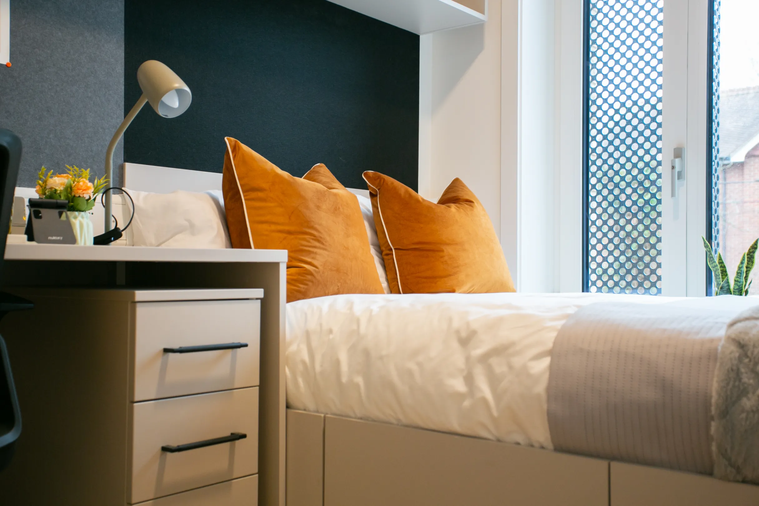 Signal House Show Cluster