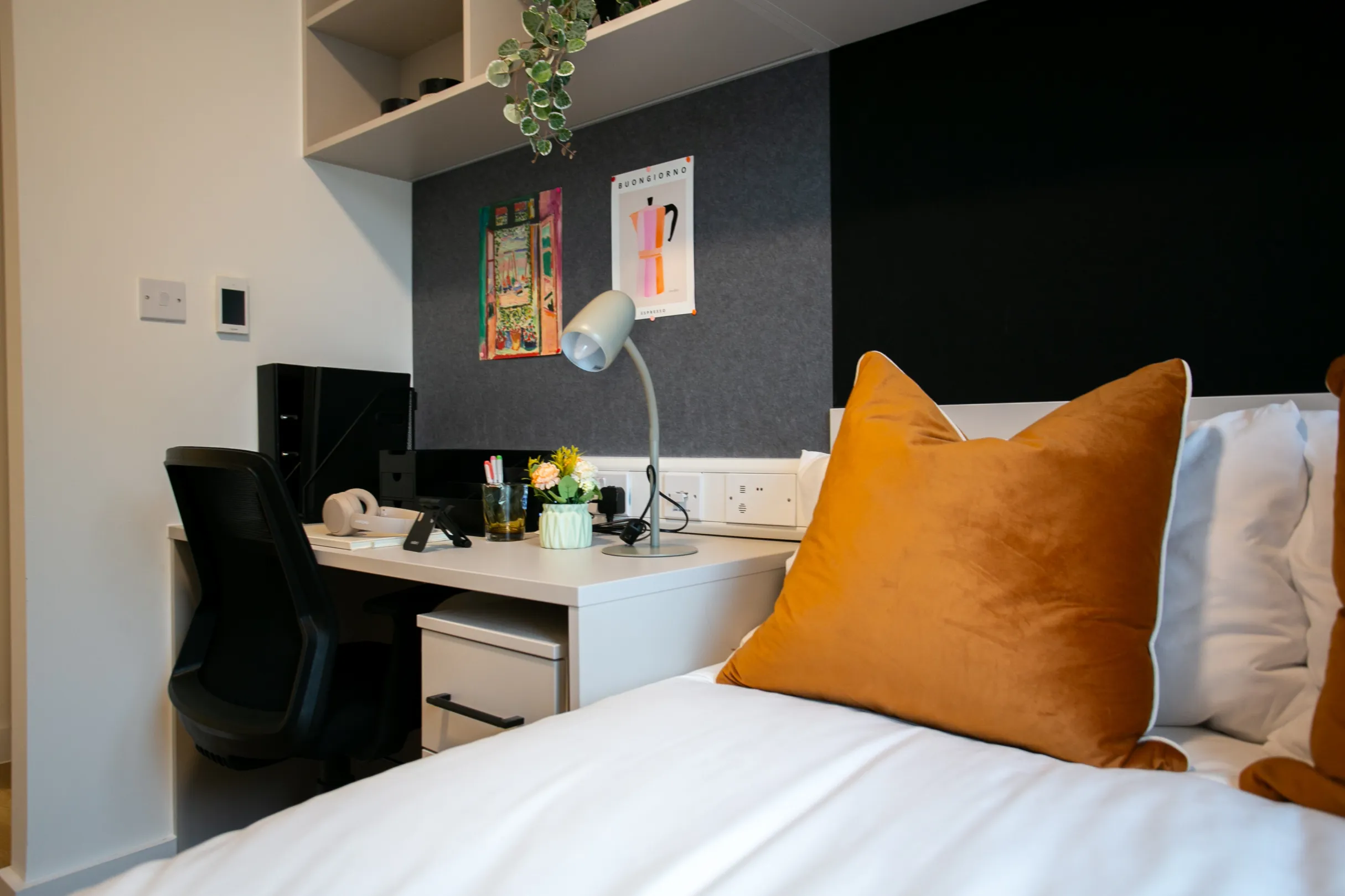 Signal House Show Cluster