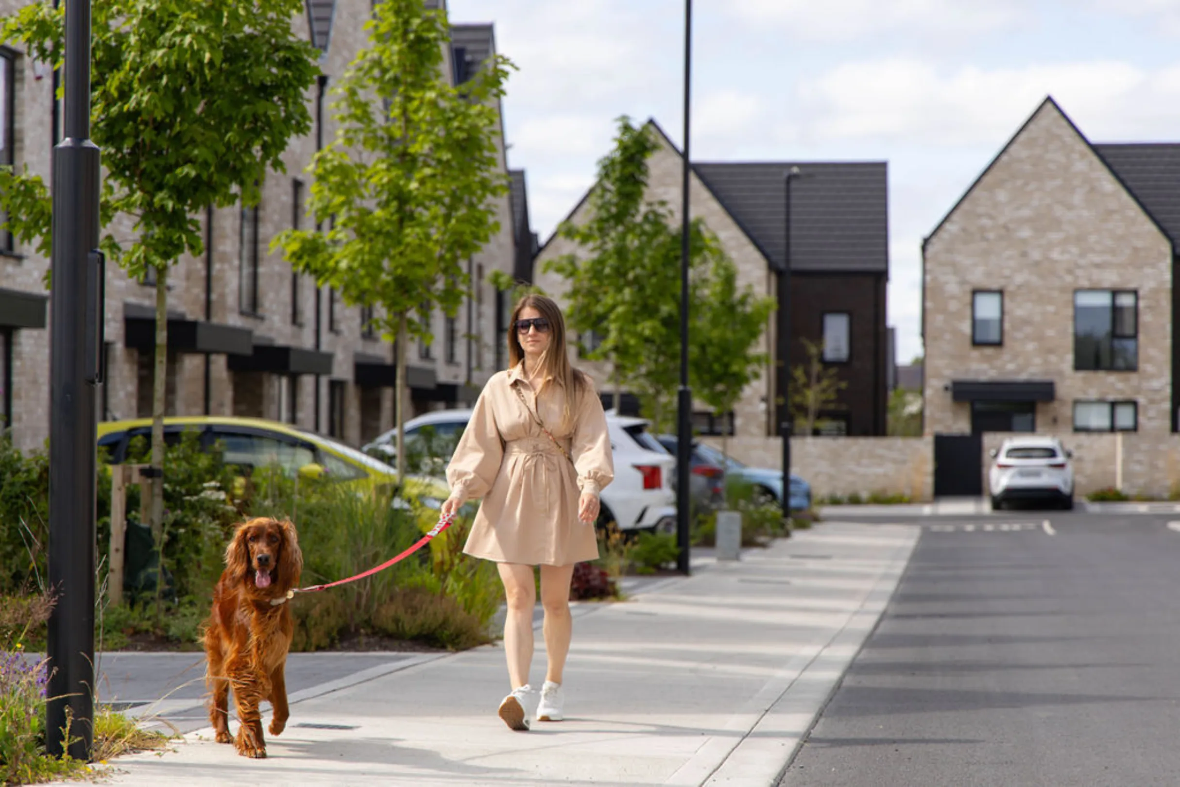 Woman walking an Irish setter dog along a footpath lined with trees, with houses and parked cars in the background.