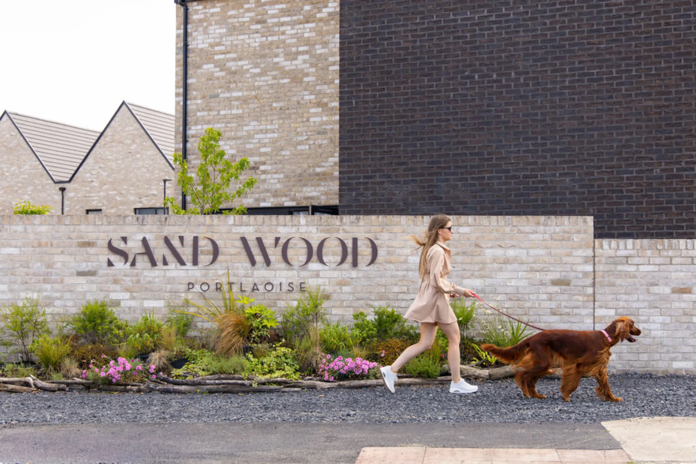 Woman walking an Irish setter dog past the Sand Wood, Portlaoise entrance sign, with landscaped planting and houses in the background.